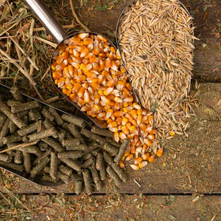 Alimentation