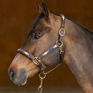 Équipement du Cheval