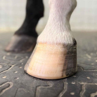 Soins des pieds