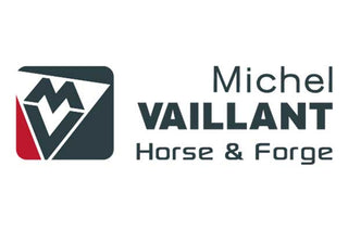 Michel Vaillant
