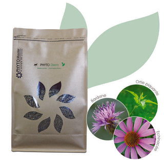 Phyto Derm