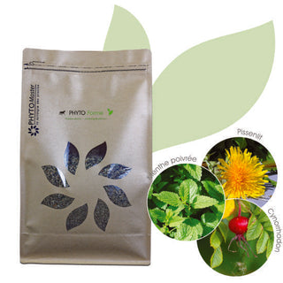 Phyto Forme
