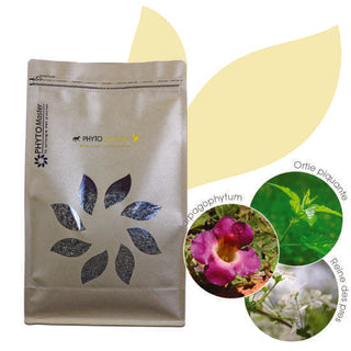 Phyto Mobilité